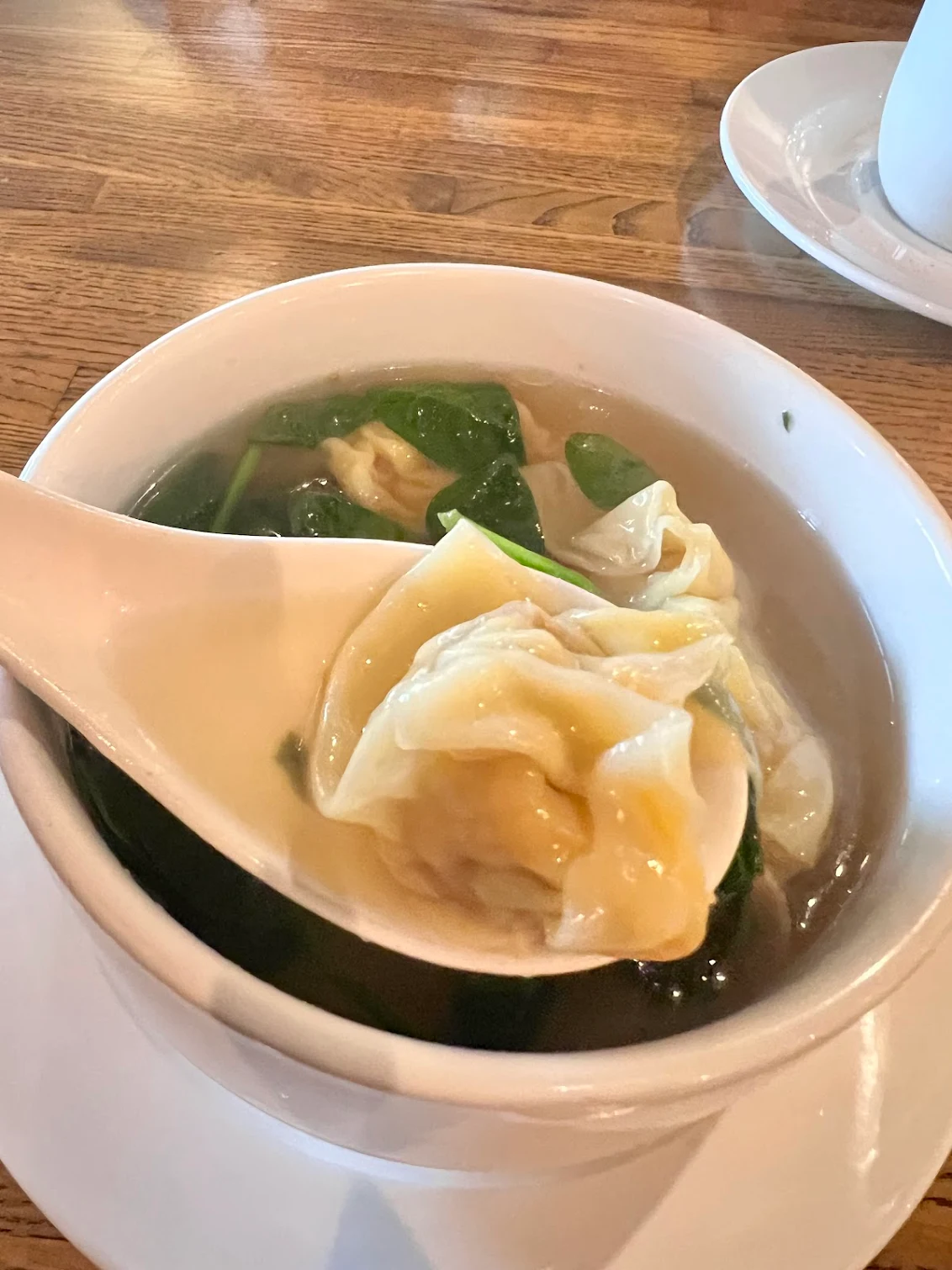 wonton soup bowl